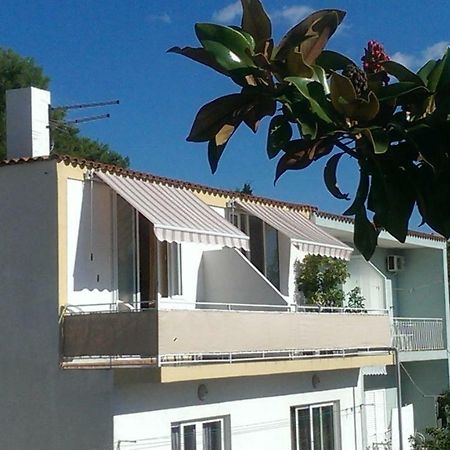 Apartmani Carevic Baška Voda エクステリア 写真